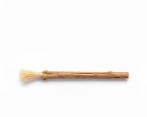 BioCharm Bâton dentaire bio à base de plantes Blanchiment naturel des gencives Santé écologique Hygiène dentaire Nettoyage buccal Miswak frais - Product Image 3
