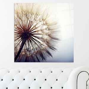 Tableau sur toile imprimé de pissenlits botaniques en gros plan, style minimaliste, ART SUR VERRE TÉRMÉTRAL - Product Image 1