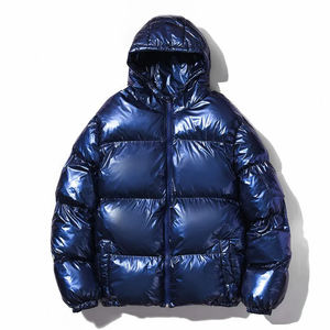 2025 nouvelle mode hiver en plein air hommes manteau vers le bas matelassé brillant doudoune pour hommes 100% Nylon hommes duvet d'oie rembourrage bulle - Product Image 3