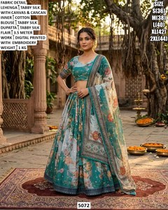 Noor-e-Zyana <b>lehenga</b> - Product Image 2