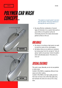 Royal BC-Polymer 03 Polymère anti-rayures hydrofuge pour surfaces peintes - Product Image 3