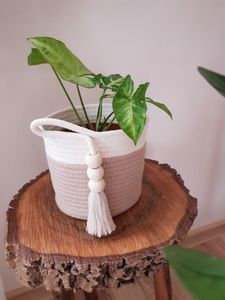 Macetero de Macramé Tejido a Mano para Decoración Artística del Hogar que Muestra la Destreza Artesanal y la Belleza Natural - Product Image 2