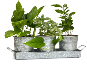 กระถางต้นไม้โลหะชุบสังกะสีพร้อมถาดสำหรับตกแต่งสวนพื้นและระเบียงสไตล์คลาสสิก - Product Image 1
