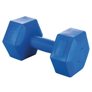 FitLover Manubrio Blu da 4 kg in Ghisa di Alta Qualità per Esercizi a Casa, Palestra, Fitness, Bodybuilding e Allenamento con Pesi - Product Image 1