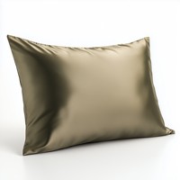 Taie d'oreiller en satin de soie turque de qualité 6A, motif de feuilles vert clair élégant, broderie personnalisée OEM, motif de points, luxe 16-22