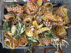 Pâte d'ananas/pâte d'ananas séchée pâte d'ananas séchée de qualité supérieure à haute teneur en protéines pour aliments pour animaux - Product Image 3