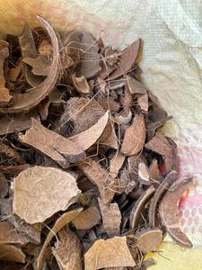 Vỏ dừa nghiền vỏ dừa - Product Image 3