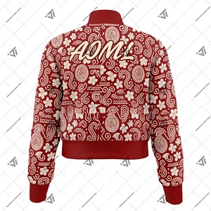 กรีก Delta | Sigma | theta DST เสื้อผ้าชมรมสโมสรพร้อมส่ง100% ปักโพลีเอสเตอร์แบบมีซิปรูด - Product Image 2