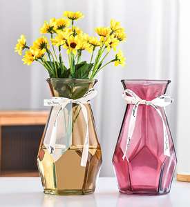 Arreglo floral transparente para el hogar, cultivado en agua, geométrico simple, florero de vidrio coloreado - Product Image 5