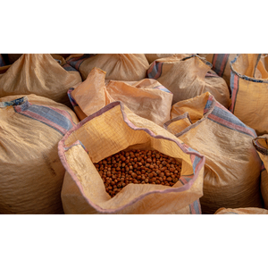 Hot Selling Organic <b>Hazelnut</b> Hazel Nuts for Sale - Product Image 6