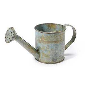 Regadera Galvanizada de Diseño Exquisito, Fabricante y Exportador, Regadera de Metal de Diseño Personalizado, Venta al Por Mayor - Product Image 2