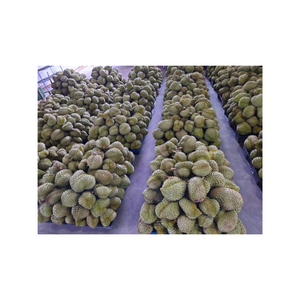 Purée lisse de pulpe de durian congelée, 100% naturelle, sans conservateur, congelée IQF, sac sous vide de 1kg, prête pour les desserts et les smoothies - Product Image 4