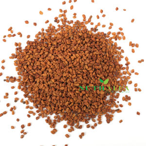 Vente en gros de graines de fenugrec naturelles et de haute qualité - Product Image 1