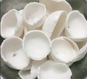 Viande de noix de coco jeune congelée/goût tropical, emballage OEM, exportation en vrac/meilleure vente du fournisseur vietnamien - Product Image 3