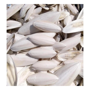 Hueso seco de sepia con datos de oro 99, característica natural para aves, alimentación de animales, exportación, Sra. Caryln OO84935825297 - Product Image 1