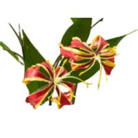 Lebensechte Künstliche Gloriosa-Lilie, Seidenblume für Heim- und Hochzeitsvasen-Arrangements, Dekorative Kunstblumen