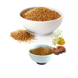 Luzerne | Nutrition des plantes botaniques | Transformée pour le bétail - Product Image 1