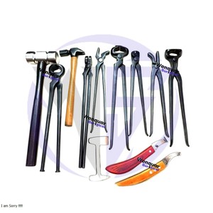 12 pièces ensemble de soins du sabot Kit de maréchal-ferrant avec cutter, couteau, marteau et plus d'outils vétérinaires pour animaux Kit de maréchal-ferrant robuste - Product Image 1