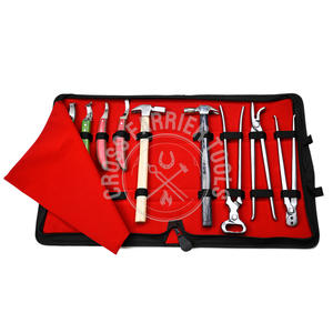 Kit de herramientas para herradores al por mayor, pinzas para pezuñas para caballos, 10 Uds., incluye martillo de herradura, cuchillo de bucle, cuchillo de recorte y cortador de remache - Product Image 1