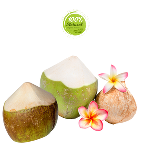 Cáscaras de coco peladas con diamantes para bebidas fermentadas de estilo fresco - Product Image 6