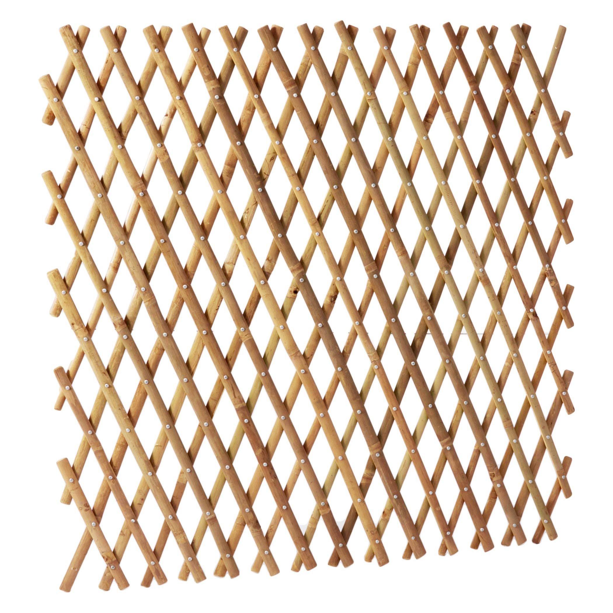 ธรรมชาติ