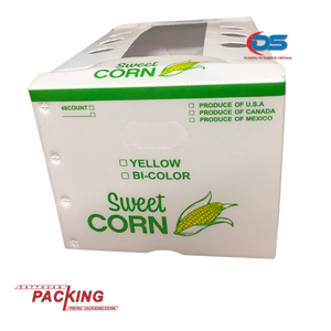 DAT THUAN Caja corrugada plegable impermeable PP Núcleo hueco Polipropileno Moldeado por inyección Frutas Verduras Corte incluido - Product Image 1