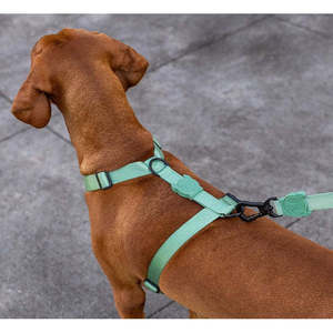 Arnés de Lujo para Perros, Color Verde Militar, Transpirable, de Poliéster Oxford, Arnés Simple y Sólido para Perros Pequeños, Medianos y Grandes, para Paseos al Aire Libre - Product Image 3