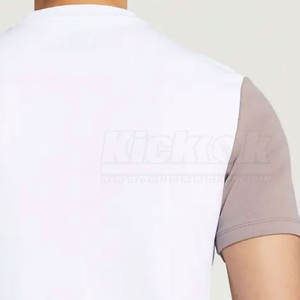 เสื้อยืดผู้ชายพิมพ์โลโก้ตามสั่งขายส่ง ผ้าฝ้าย 100% คอกลม ทรงปกติ บริการ OEM สีพื้น เป็นมิตรกับสิ่งแวดล้อม แห้งเร็ว - Product Image 5