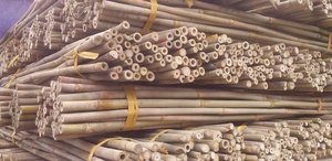 Poteau en bambou 99GD écologique du Vietnam pour la décoration de jardin extérieur - Diamètre 6-60 mm, longueur 30-600 cm, prix abordable pour l'exportation - Product Image 2