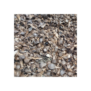 Vente en gros de coquille de palmiste en vrac Emballage personnalisé de qualité supérieure Service OEM/ODM Allemagne Expédition rapide assurée - Product Image 6