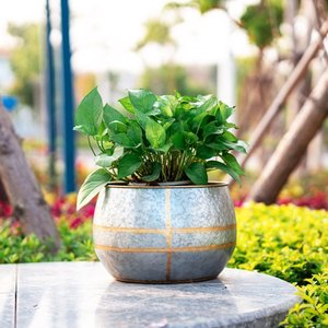 Maceta de flores de Metal redonda de lavado blanco para decoración del hogar y jardín Maceta y maceta Plantas verdes hechas a mano - Product Image 6