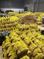 Cannelle de Cassia du Vietnam de haute qualité, nouvelle récolte, en morceaux brisés de 5-15 cm, épices en poudre du Vietnam (0084 398885178)