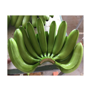 Frutas frescas Banana tropical Fresh Cavendish Banana Frutas frescas naturales ORIGEN VIETNAM Cavendish Banana - Product Image 1