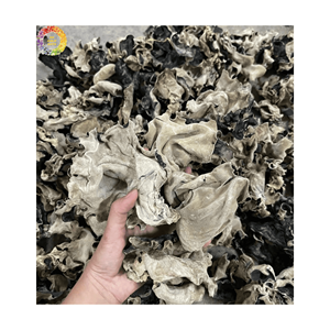 Approvisionnement en vrac de champignons noirs séchés, champignons oreilles de bois, champignons comestibles séchés, champignons oreilles de nuage entiers, tranchés, champignons naturels pour la cuisine - Product Image 3