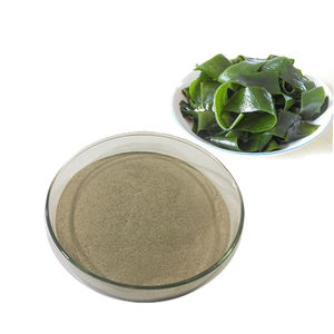 ผงสาหร่ายทะเล,ผงสกัดจากสาหร่ายทะเล - Product Image 1