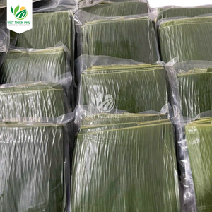 VIET THIEN PHU VTP/100% hojas de plátano frescas orgánicas naturales que envuelven alimentos congelados de alta calidad hojas de Banan Viet - Product Image 4