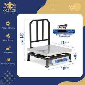 Penjualan Terbaik baja tahan karat tugas berat Digital timbangan atas meja kompak akurasi 10/20 Gram dan kapasitas beban 120kg - Product Image 6