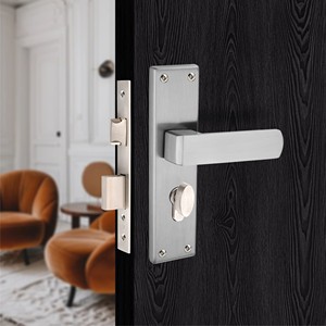 Precio de fábrica Manija de Puerta Dorada gris lujosa de la mejor calidad de zinc para oficina Cocina Estilo de diseño moderno Precio de fábrica - Product Image 5