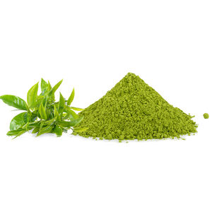 Extrait de thé vert en poudre haute puissance, polyphénols standardisés EGCG, catechines, ingrédient à base de Camellia Sinensis pour complément alimentaire - Product Image 1