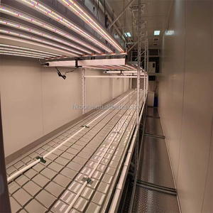 Contenedor de Cultivo de Plantas de Calidad Premium con Precio Directo de Fábrica y Soporte de Envío Global para Proyectos Comerciales - Product Image 4