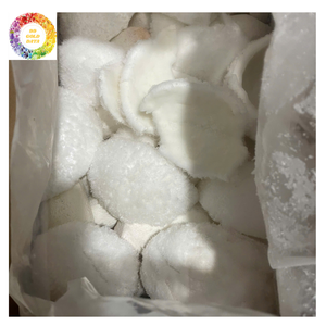 Carne de coco congelada IQF de Vietnam, ideal para fábricas de alimentos, heladerías y mezclas de jugos - Product Image 4