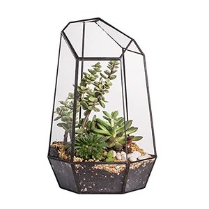 Indoor Decoration Metal And Glass Terrarium Tabletop Triangle Shape Flower <b>Vase</b> Container Decorative Glass Terrarium - Product Image 2