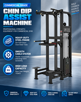BN Commercial Steel Multi-Function Pin Loaded Assisted Pull-Up Dip Machine 100kg Weight Stack for Universal Upper Body