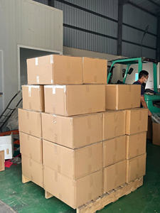 Rodajas de ajo de Vietnam/thoom/lahsun a granel; Grandes ofertas de la fábrica - Product Image 6