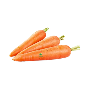 Zanahoria congelada de alta calidad hecha por VIET THIEN PHU de VIET NAM-Cubo de dados de trozo redondo ovalado-Venta caliente de clase Premium - Product Image 1