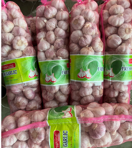กระเทียม<span class=keywords><strong>สด</strong></span>ขนาด5.5ซม. <span class=keywords><strong>3</strong></span>.5กก./ถุงตาข่าย - Product Image 6