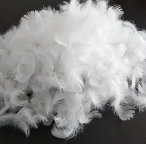 Plumas de pato blancas puras Premium | Material natural suave para almohadas Edredones Artesanía y tapicería - Product Image 1