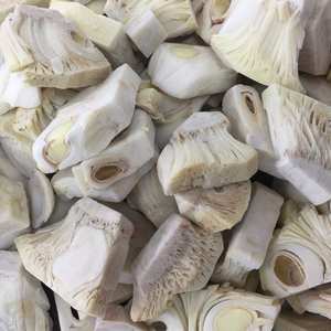 Segmentos de Jackfruit Congelados IQF de Fábrica Directa VDELTA |   Origen Vietnam - Product Image 6