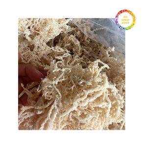 มอสทะเลไอริชระดับพรีเมี่ยมสำหรับการส่งออก - Product Image 2