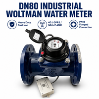 Compteur d'eau chaude en fonte 4G GPRS NB-IOT Junrui personnalisé DN80mm carte Sim compteur d'eau intelligent de haute qualité